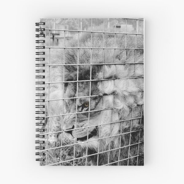 Item preview, Facetime with african lion designed and sold by santoshputhran.
