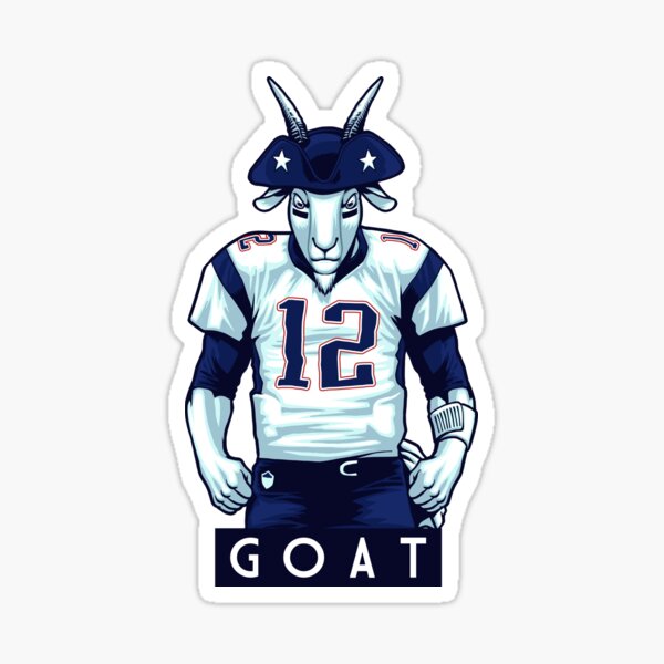 Tom Brady Rob Gronkowski Sticker Decal fun 2021 funny decal 3x4 tompa bay