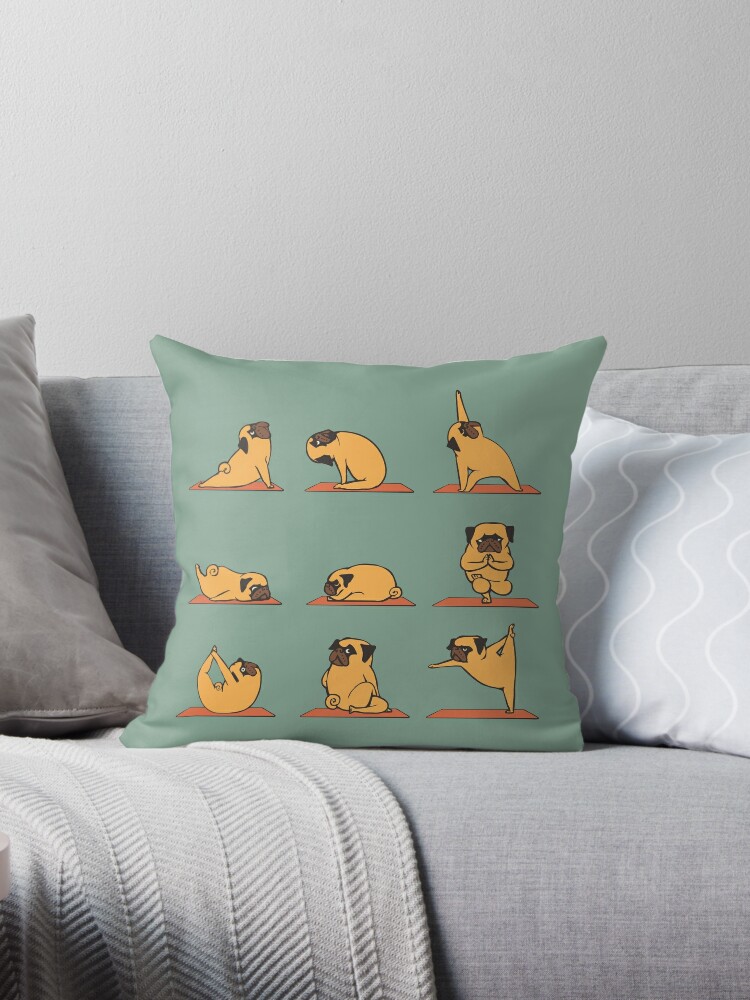 https://ih1.redbubble.net/image.844574650.1411/throwpillow,small,750x1000-bg,f8f8f8.u2.jpg