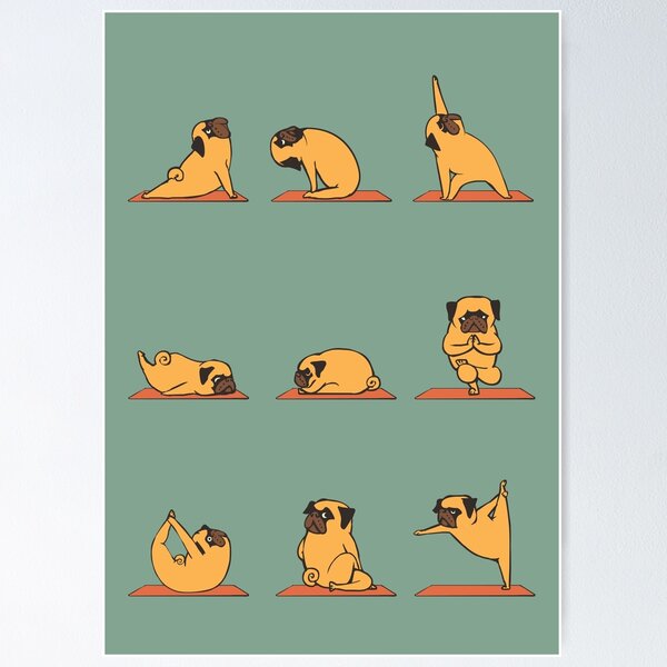 Pug Yoga Poster