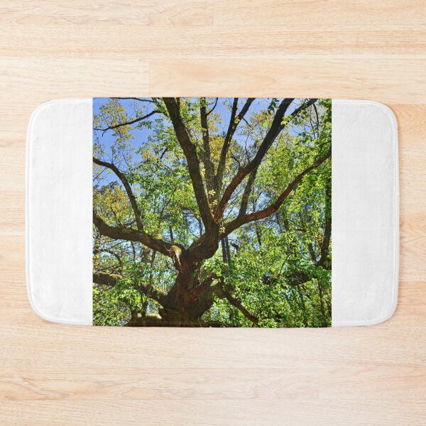 Item preview, A Tree Among Trees designed and sold by LisaWootenPhoto.