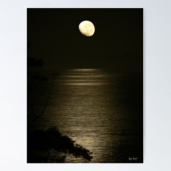 Item preview, REFLECTIONS-NELSON BAY AUSTRALIA designed and sold by Wayne Dowsent.