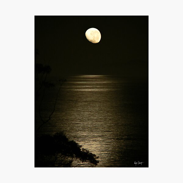 Item preview, REFLECTIONS-NELSON BAY AUSTRALIA designed and sold by Wayne Dowsent.