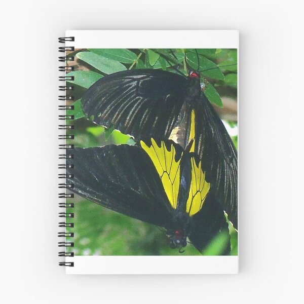 Item preview, Mating  designed and sold by Diane Arndt.