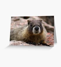 The Look of "Can I Trust You?" Greeting Card