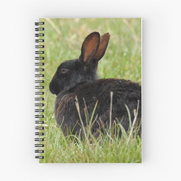Item preview, Black Bunny Rabbit designed and sold by BlueMoonRose.
