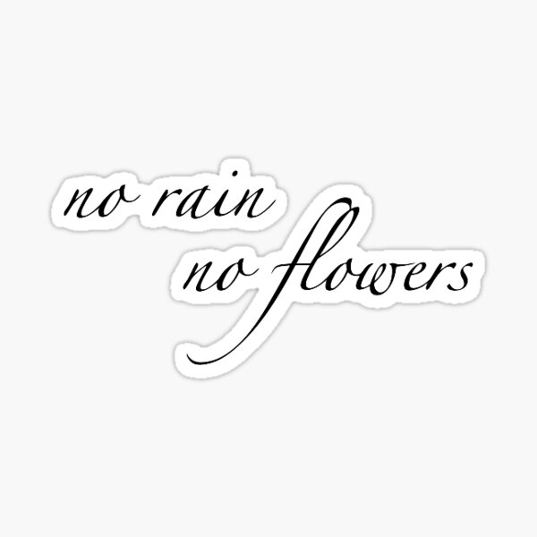 No rain no flowers  TikTok