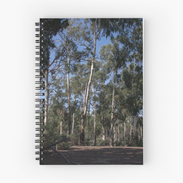 Item preview, Beside Diamond Creek Track 20150413 1786  designed and sold by Fred Mitchell.