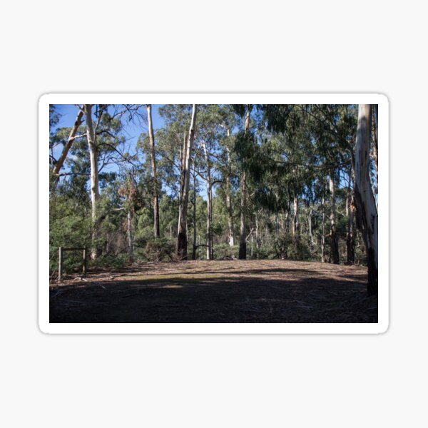 Item preview, Beside Diamond Creek Track After first sprinkle of rain 20150429 1798  designed and sold by Fred Mitchell.