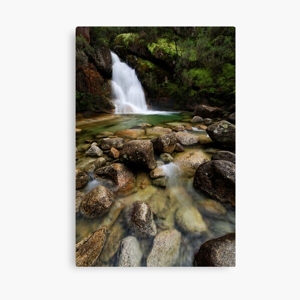 Ladies Bath Canvas Print
