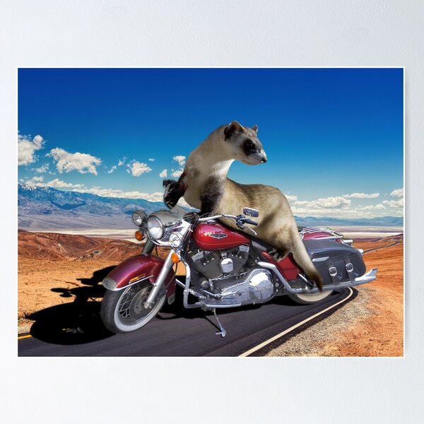 Item preview, Ferret on a Motorcycle  designed and sold by TooCoolUnicorn.