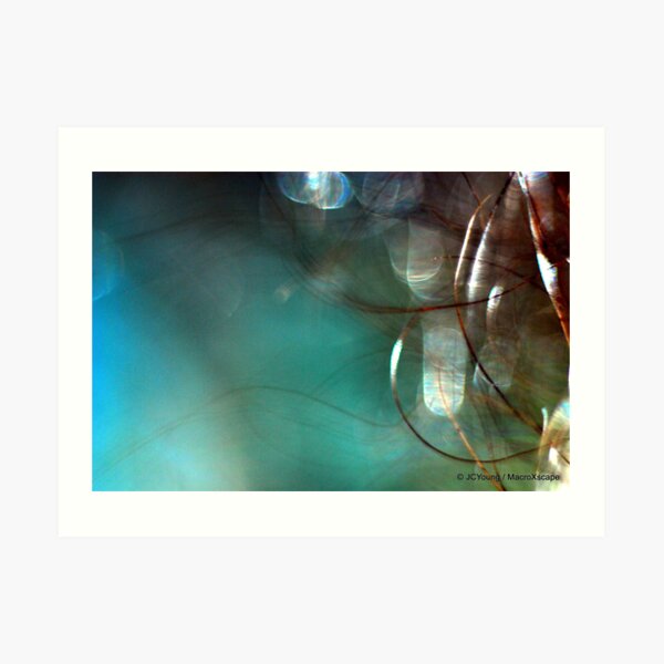 Blue Wonder Art Print