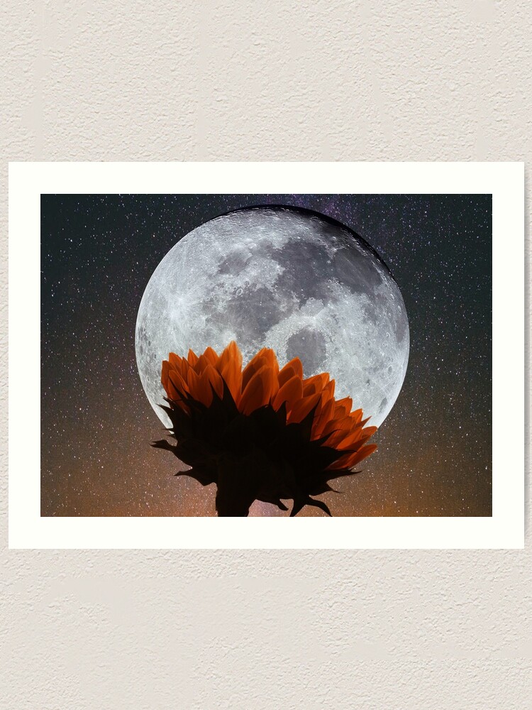 Lámina artística «girasol a luz de luna» de frangipanms | Redbubble