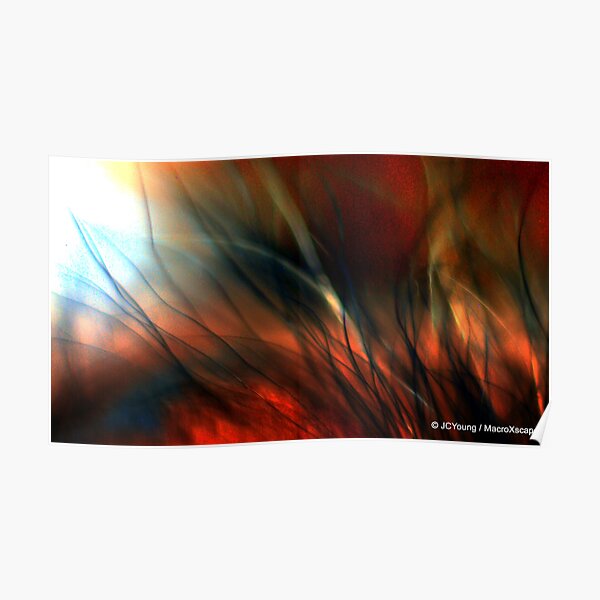 Raging Fire Poster