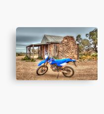 Old Hut, New Stead Canvas Print