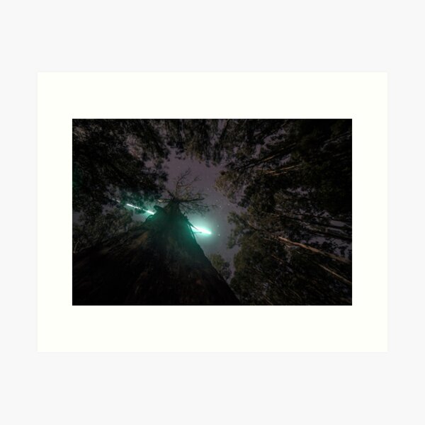 Item preview, Dandenongs Meteor designed and sold by Steven  Sandner.