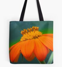 Evening Orange Tote Bag