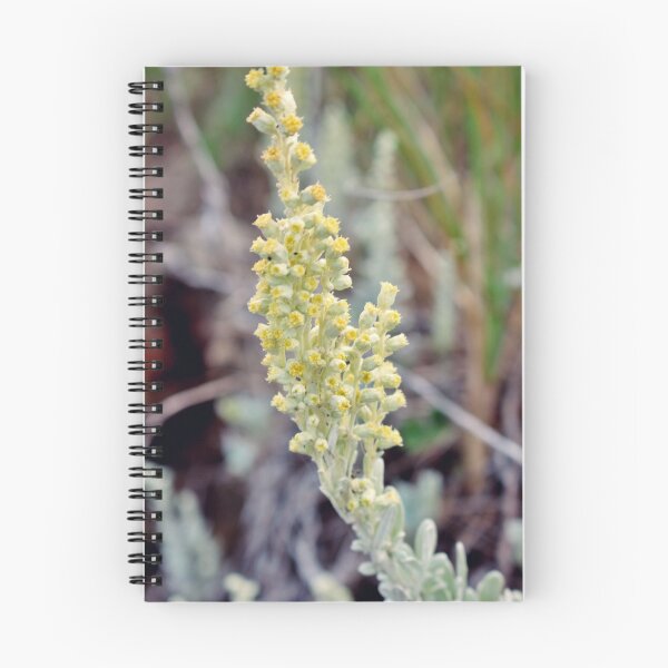 Item preview, Beach Wormwood designed and sold by Kathleen Daley.