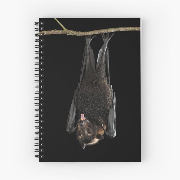 Item preview, Spectacled Flying Fox designed and sold by Juergen Freund.