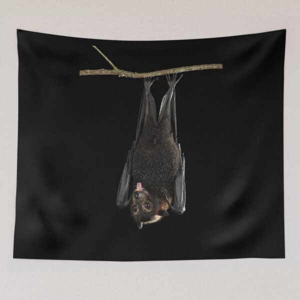 Item preview, Spectacled Flying Fox designed and sold by Juergen Freund.