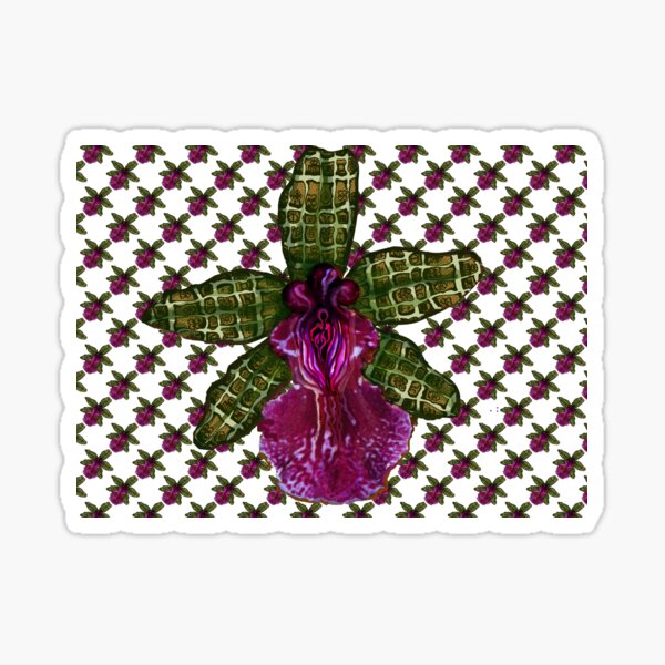 Pinque Trellis Sticker