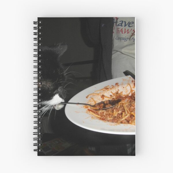 Item preview, Cat and the Spoon did not jump over the moon designed and sold by designbywhacky.