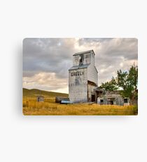 Virgelle Elevator Canvas Print