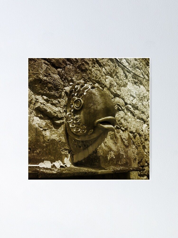Alternate view of Fishface Deia Poster