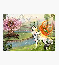 Okami Photographic Print