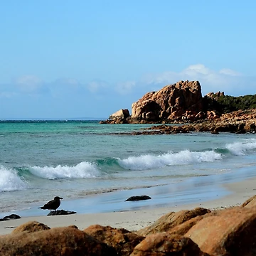 Aperçu de l'œuvre YOU ROCK de Rocksygal52