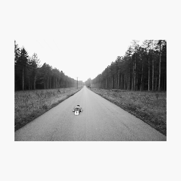 Plank Photographic Print