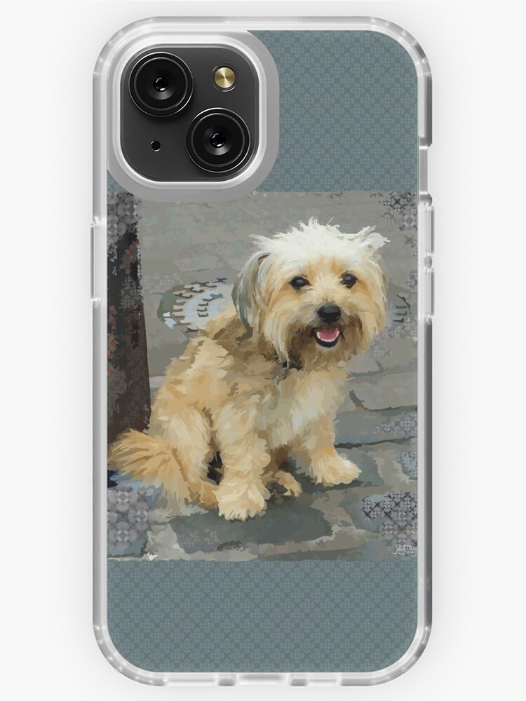 Shorkie Face Cover - Daisy Shorkie Face Cover - Daisy