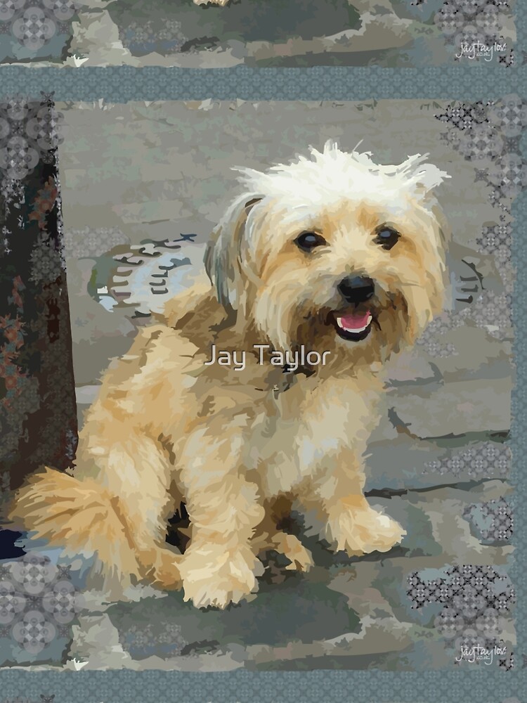 Louie the Shorkie-Tzu : Shih Tzu Yorkshire Terrier (Yorkie) Mix" A-Line Dress for Sale by jaytaylor | Redbubble Louie the Shorkie-Tzu : Shih Tzu Yorkshire Terrier (Yorkie) Mix" A-Line Dress for Sale by jaytaylor | Redbubble