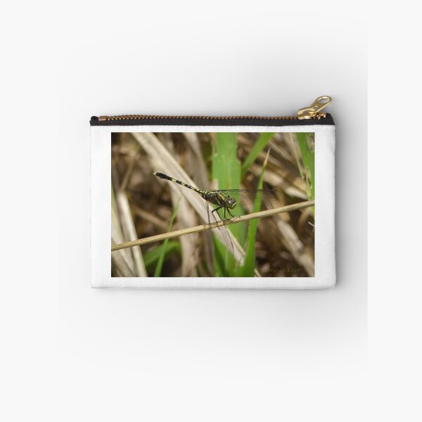 Item preview, Dragonfly designed and sold by Connie Pinson.