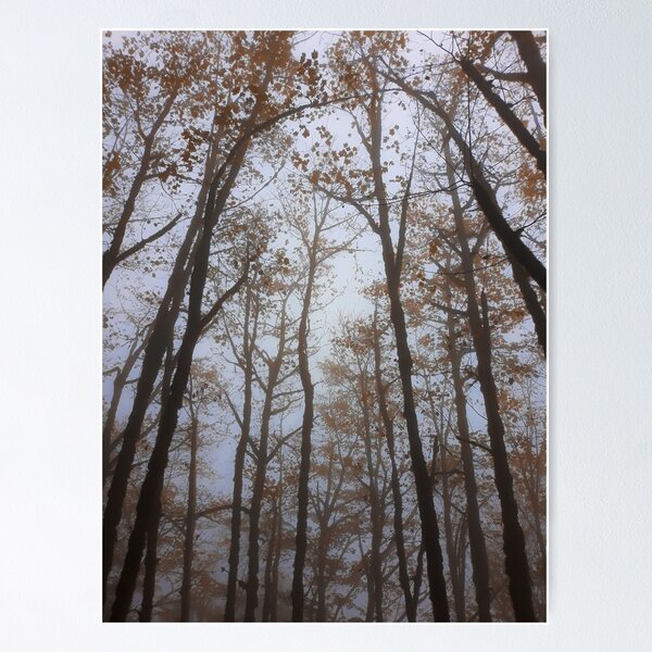 Item preview, Foggy day designed and sold by Ghazal-art.