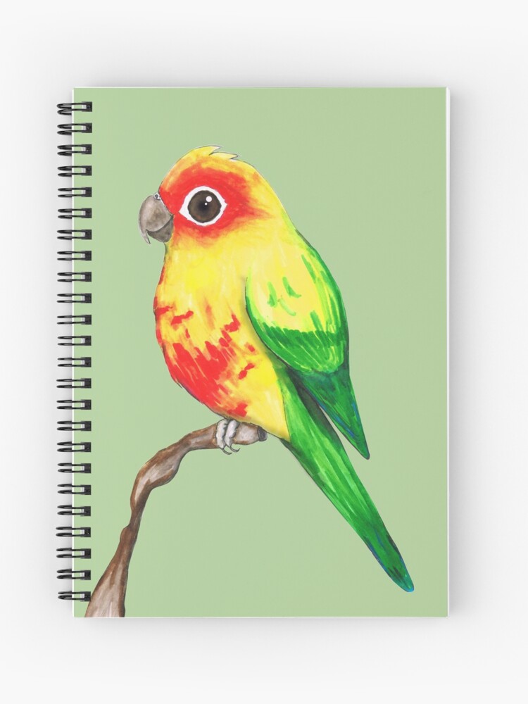Cute Sun Conure Spiral Notebook By Bwiselizzy Redbubble,What Is A Pergola With A Roof Called