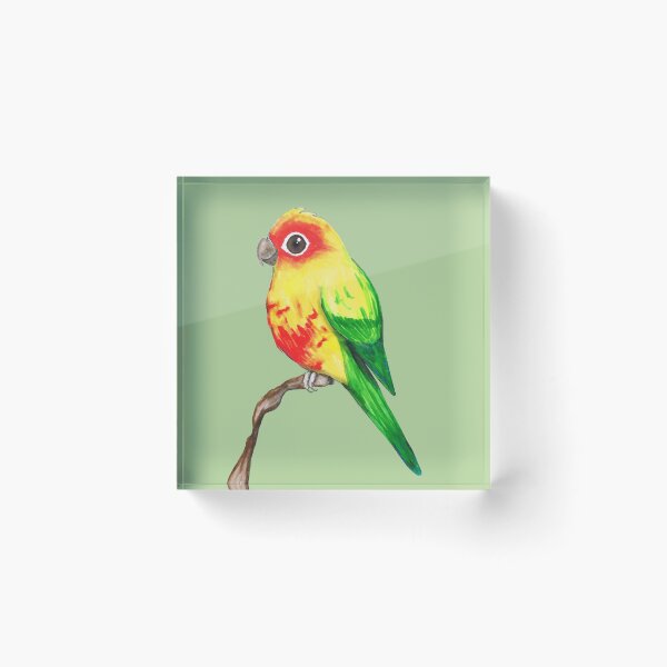 Item preview, Cute sun conure designed and sold by Bwiselizzy.