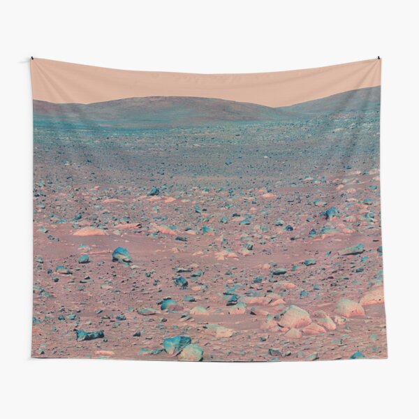Mars Rover &quot;Spirit&quot; Images - the NSSDCA - NASA Tapestry