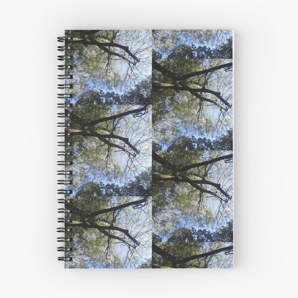Item preview, Countryside, Lakes & Forest C125 designed and sold by Hyperion Photoart.