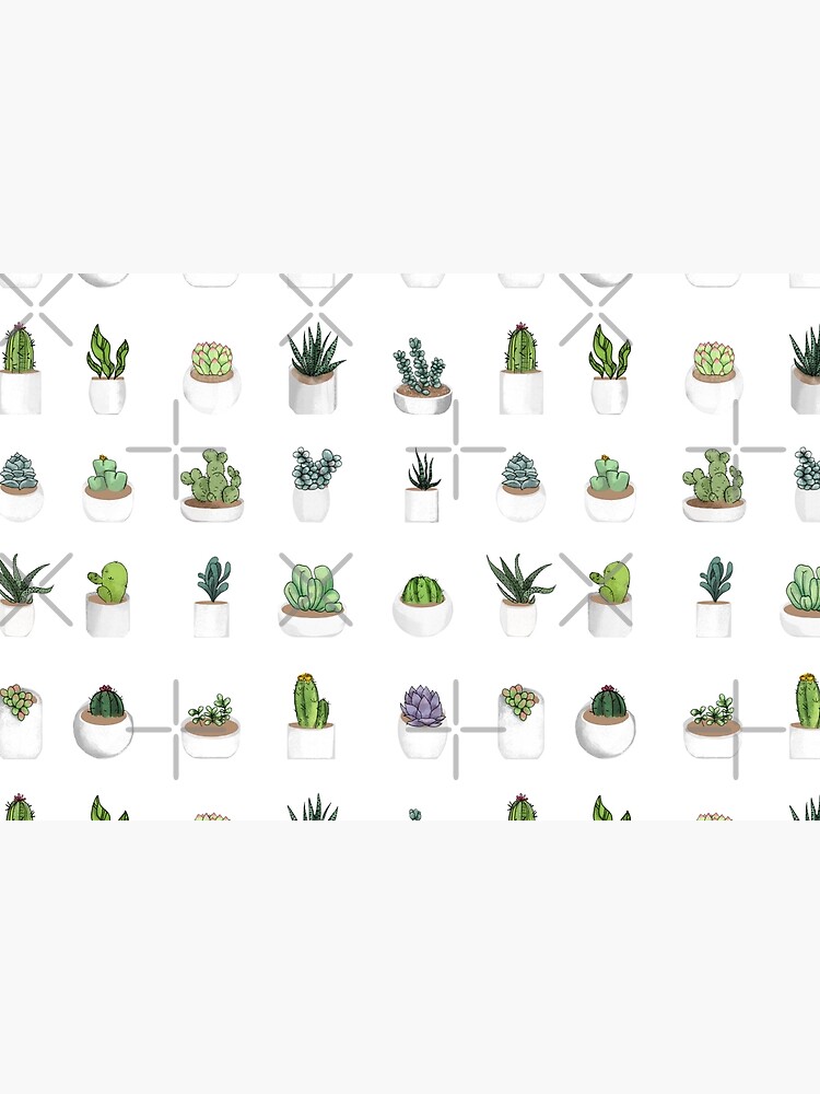 Succulents by katherineblower