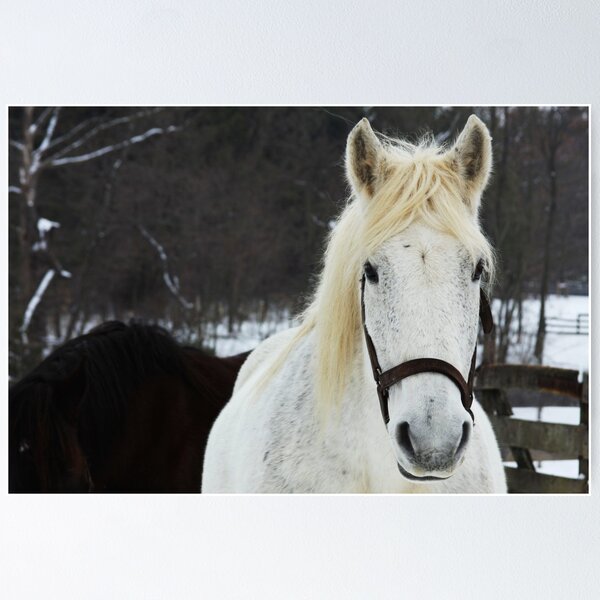 Artikelvorschau, Maude- Leader of the Herd entworfen und verkauft von Jessica Sells.