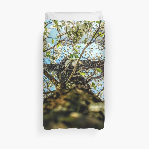 looking up a blooming dogwood tree Duvet Cover
