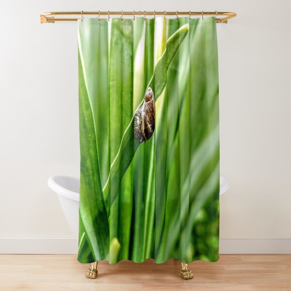 Snail on a daffodil stalk Shower Curtain