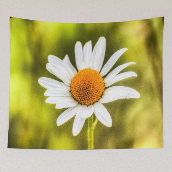 Item preview, Single Daisy designed and sold by Londonimages.