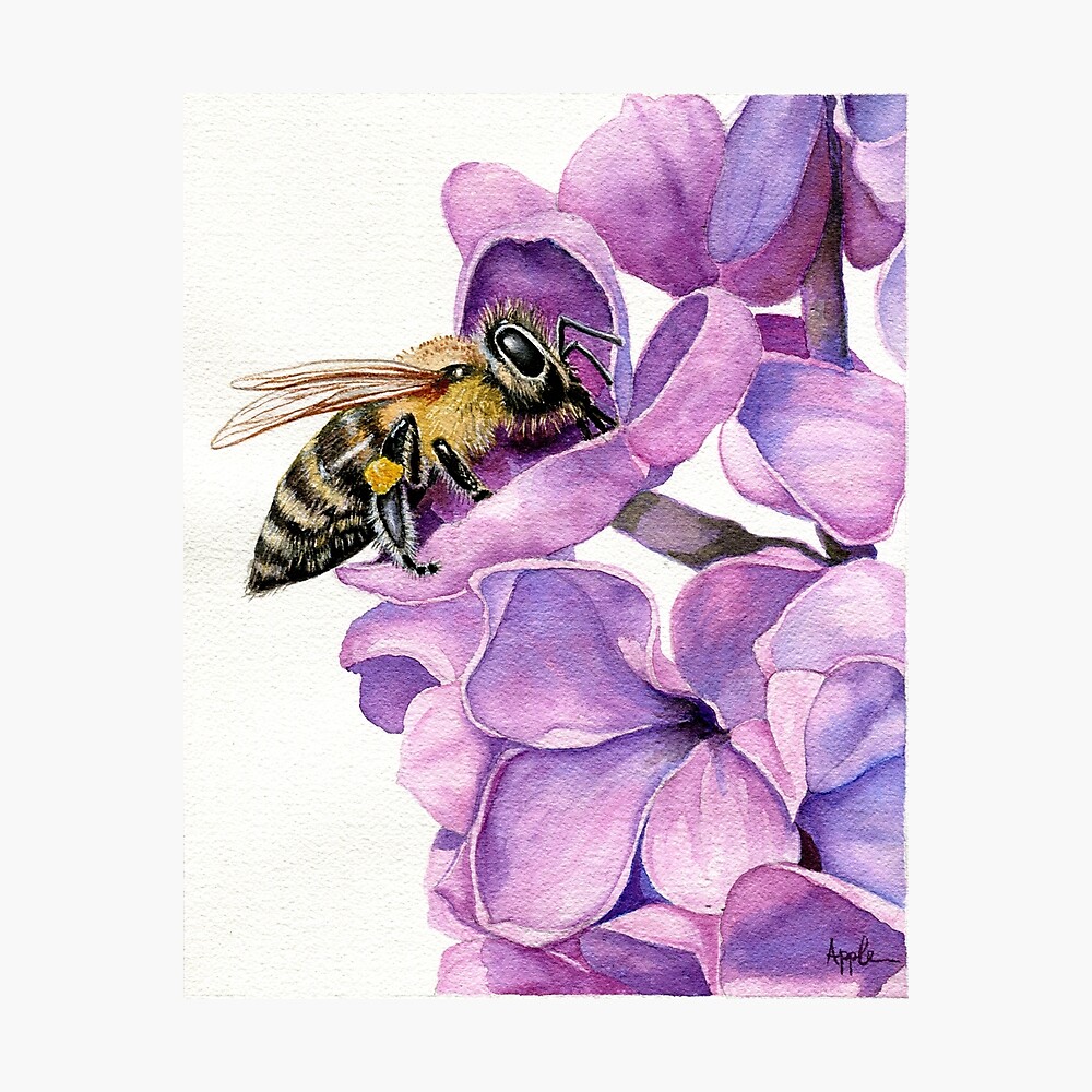 bee on flower watercolor