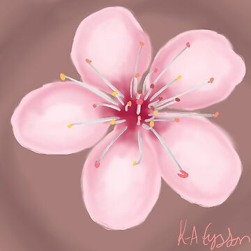 Artwork thumbnail, Cherry blossom by K-AEyston