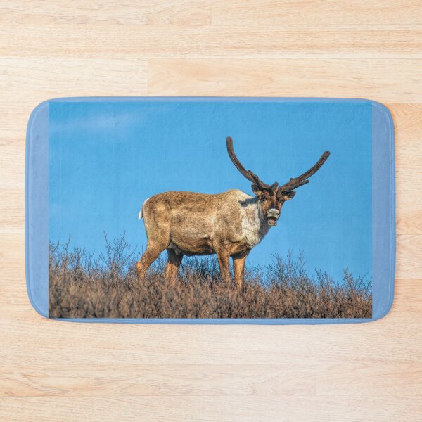 Item preview, Caribou ~ This IS My Best Side designed and sold by akaurora.