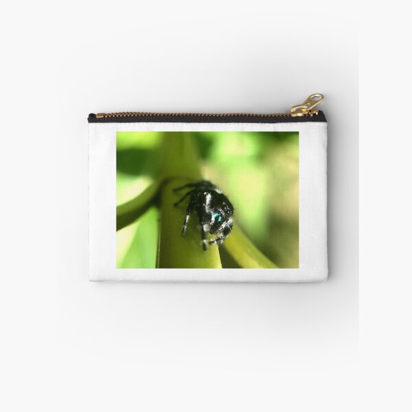 Item preview, Curious Bold Jumping Spider designed and sold by Liam  Philipson.