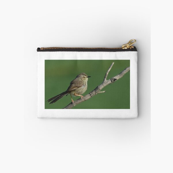 Item preview, Prinia designed and sold by Macky.