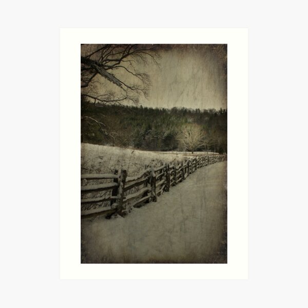 Along the Split Rail Fence Art Print